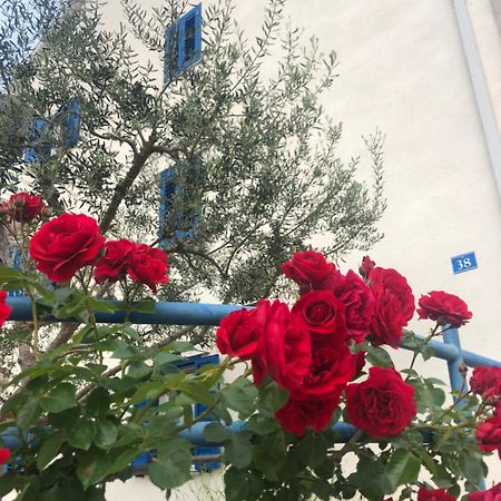 Olive Tree Apartments Умаг Экстерьер фото
